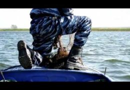 Гнилая власть Ульяновской области: Мафия против рыбаков — Документальные фильмы